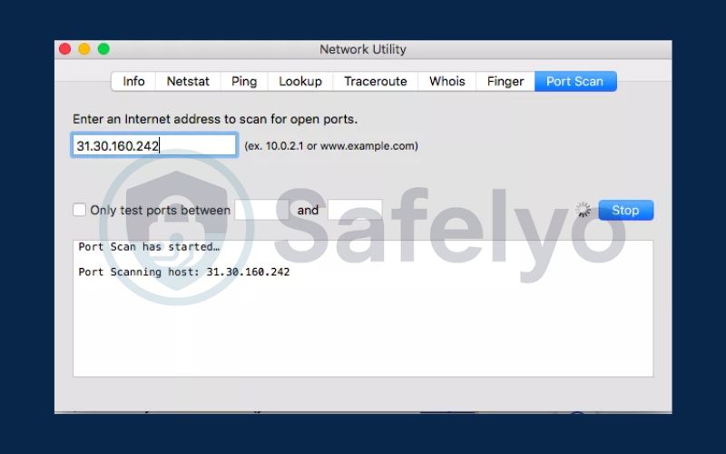 Check open ports on macOS