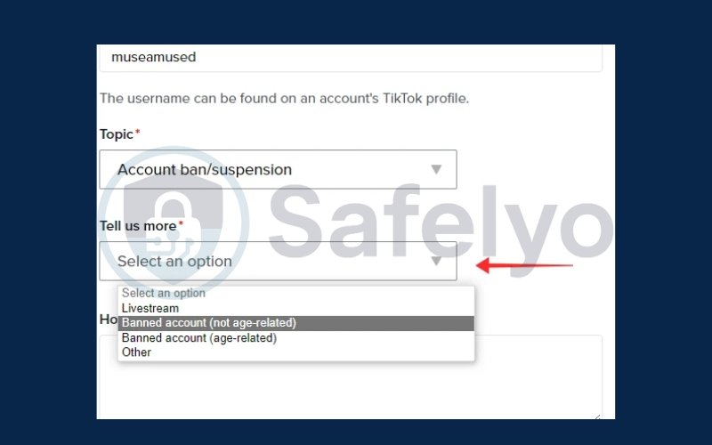 Choose Account ban or suspension