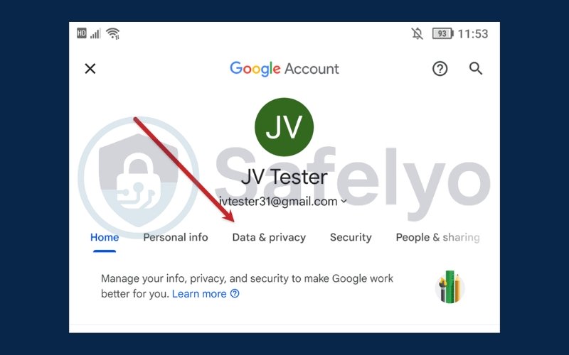 Choose the Data & privacy tab