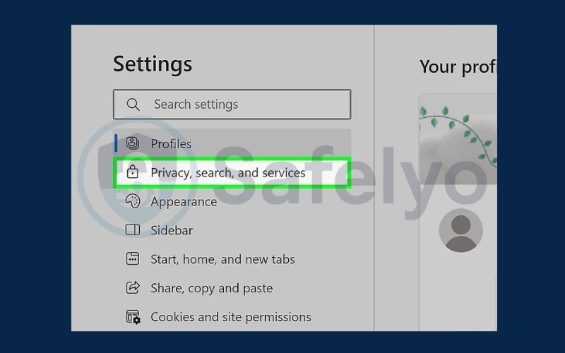Click Privacy, search, and services