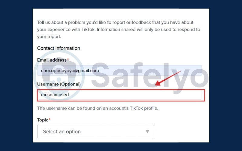 Enter your email in the provided field
