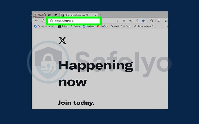 Go to twitter website in a web browser