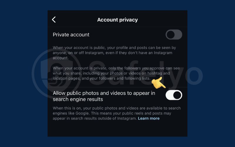 Privacy in search and sharing in Instagram