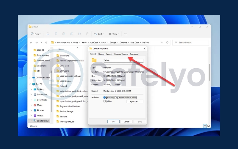 Recover Chrome history from system backups Recover Chrome history from system backups
