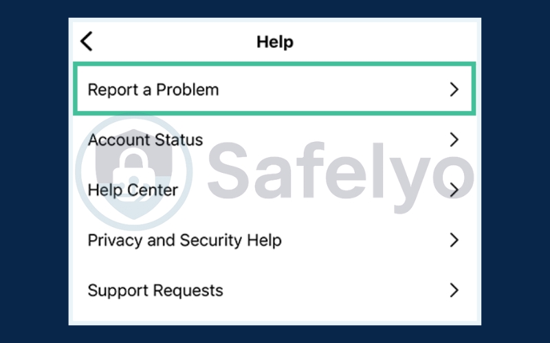 Select Report a Problem in the Help menu