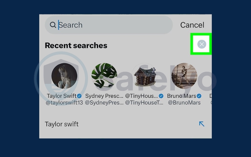 Tap the X next to Recent searches