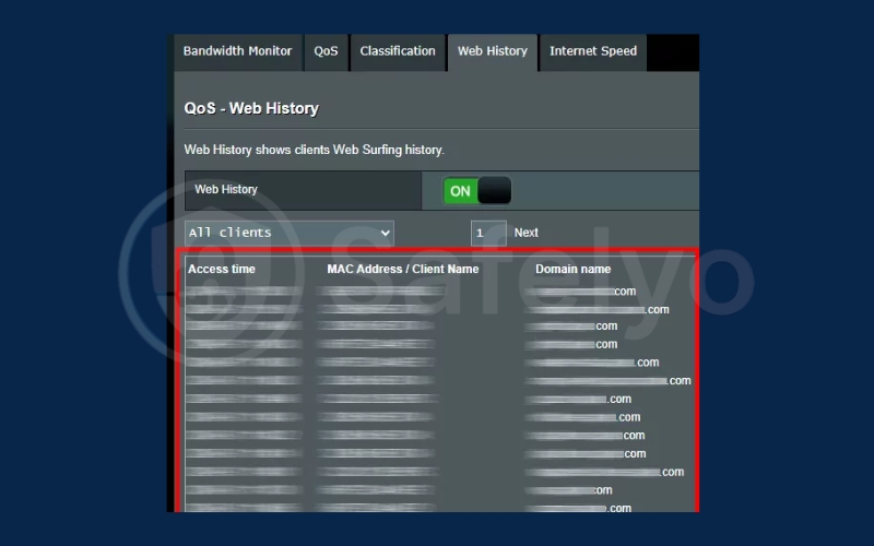 The browsing history under 'Domain name.' The browsing history under 'Domain name.'