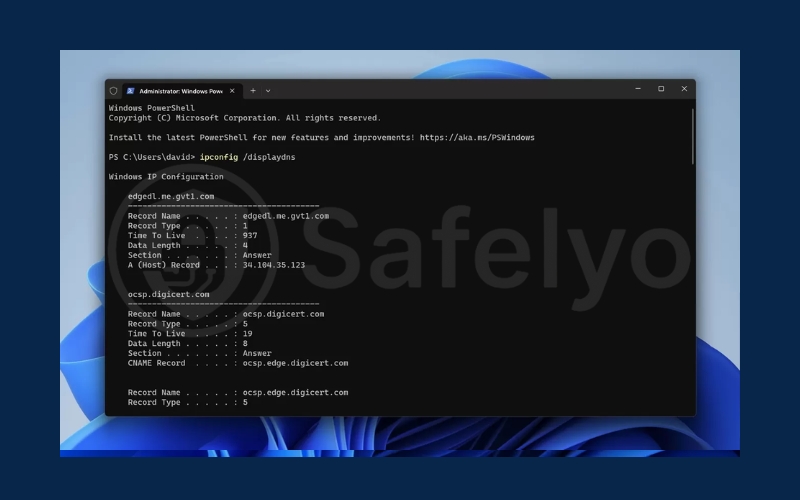Use the DNS cache to find recently visited websites Use the DNS cache to find recently visited websites