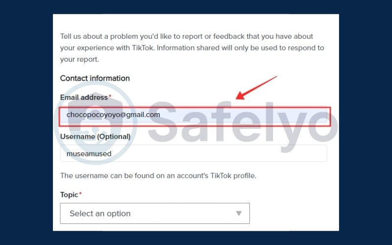 Visit the Share Your Feedback page