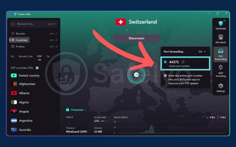 A port number will appear in the connection details panel