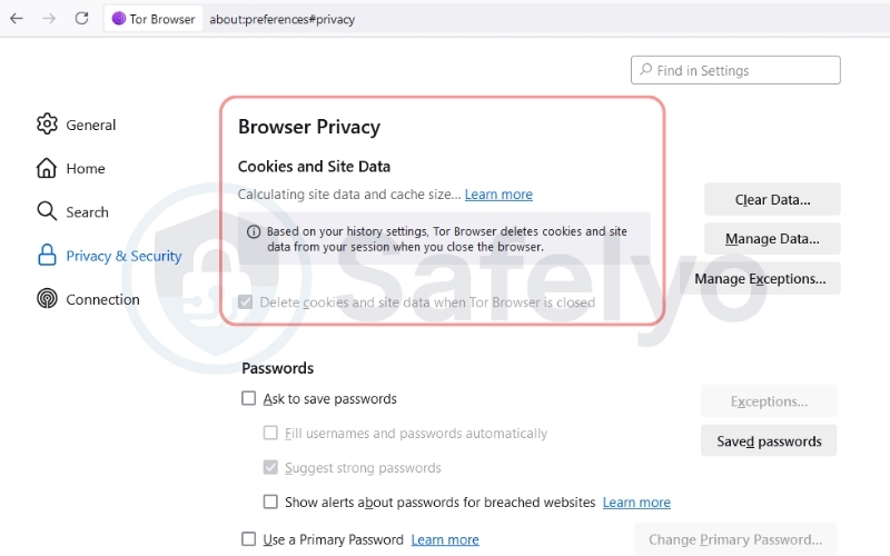 Automatic cookie and history deletion (On exit)
