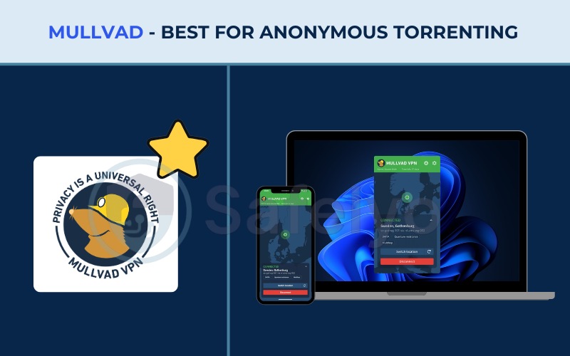 Best VPN for torrenting - Mullvad
