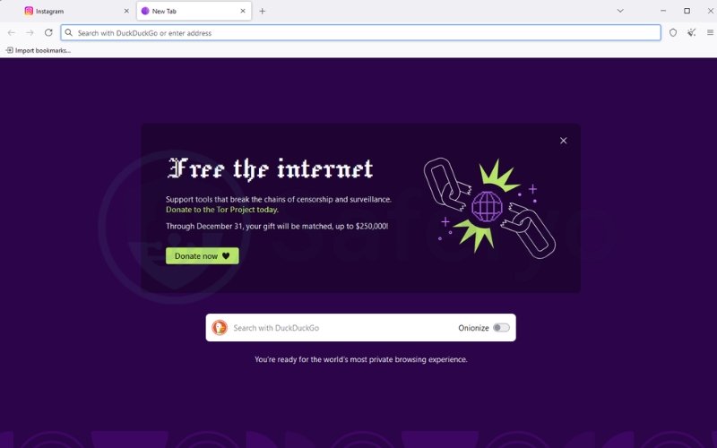 Browse through Tor Browser