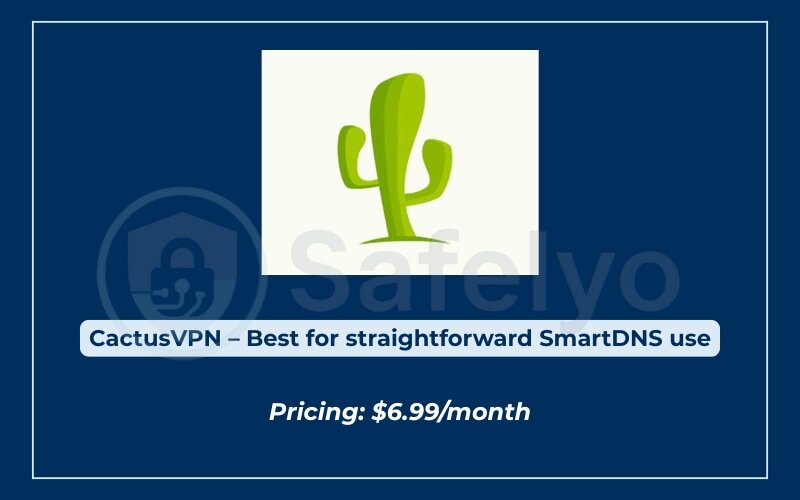 The best SmartDNS services for streaming - CactusVPN The best SmartDNS services for streaming - CactusVPN