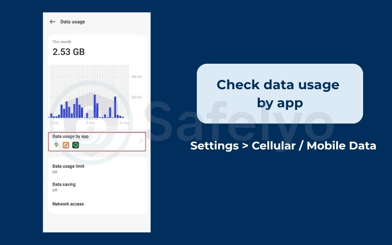 Check data usage by app
