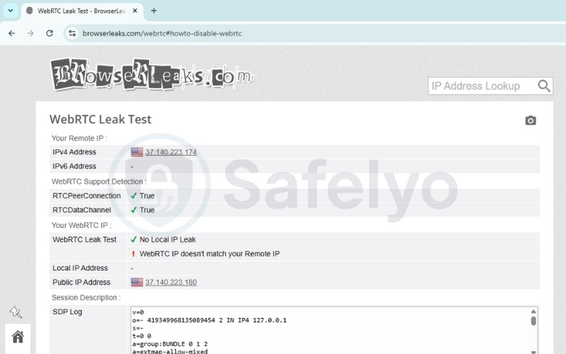 Check for WebRTC leaks