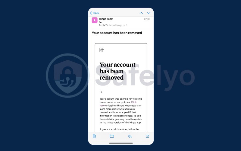 Check your email for official Hinge notices