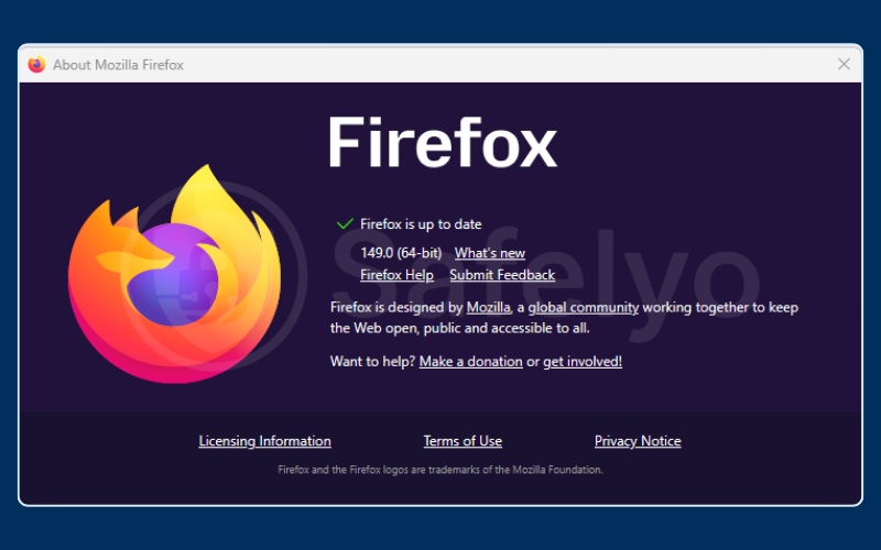 Checking Firefox browser version