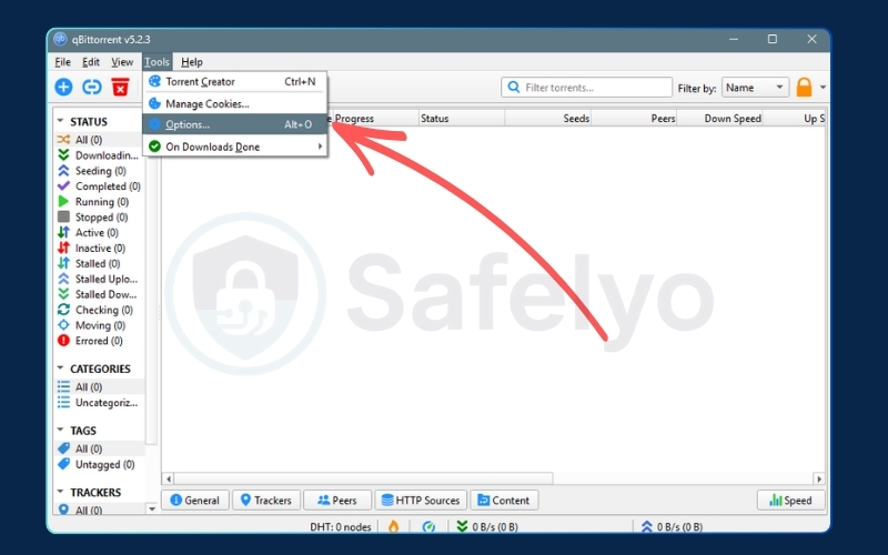 Configure Network Interface Binding in qBittorrent