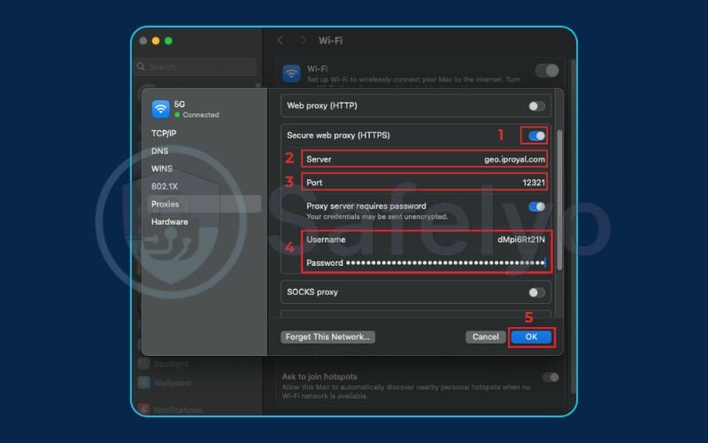 Configuring the proxy by manual configuration