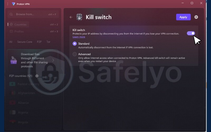 Enable the VPN kill switch - ProtonVPN