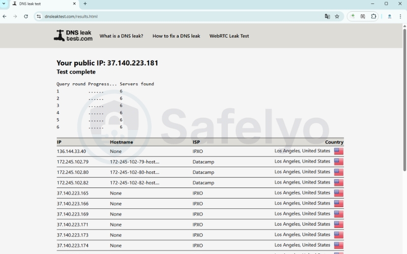 Extended DNS leak test results showing server list on dnsleaktest.com