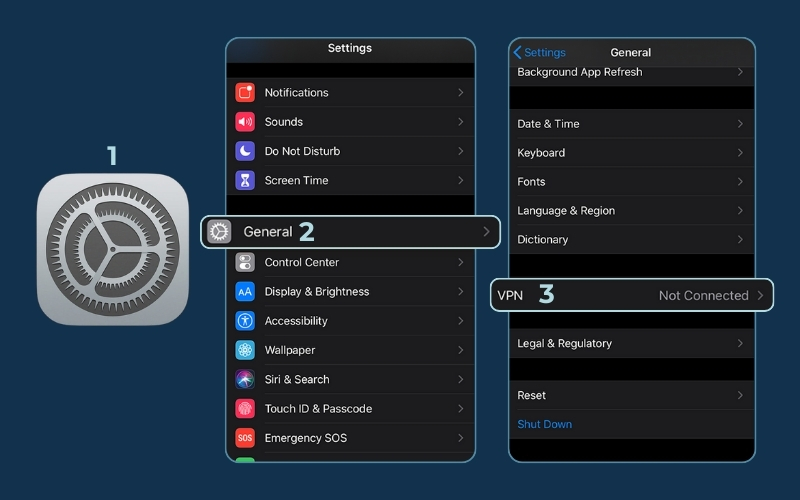 Go to the VPN Settings