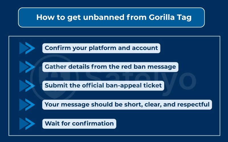 How to get unbanned from Gorilla Tag Steam VR