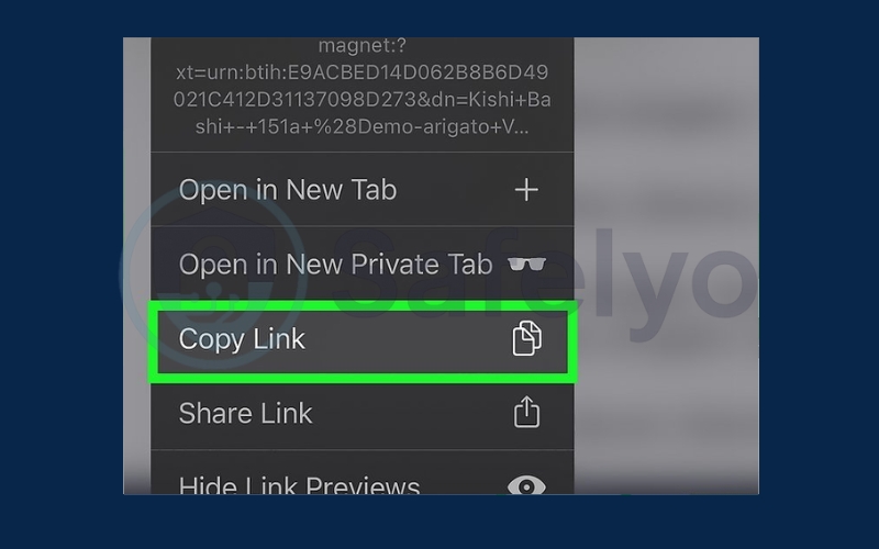 How to open a torrent file on IOS 2 How to open a torrent file on IOS 2