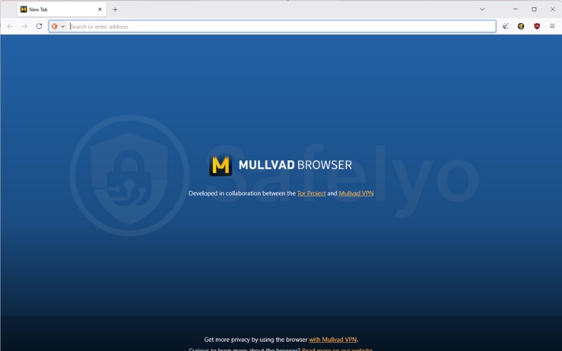 How to stop being tracked online: Use Mullvad website