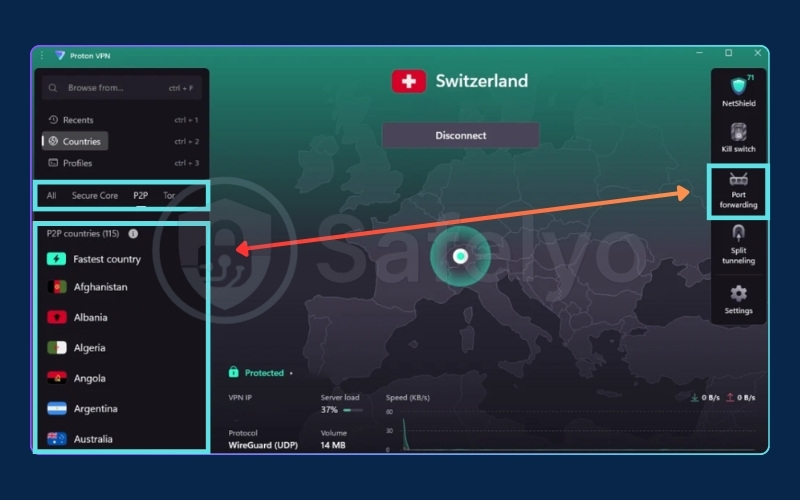 Navigate to the P2P server list, then click Port Forwarding