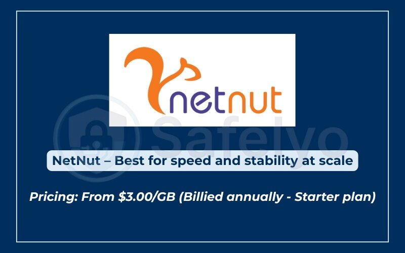 Best proxy servers for privacy - NetNut