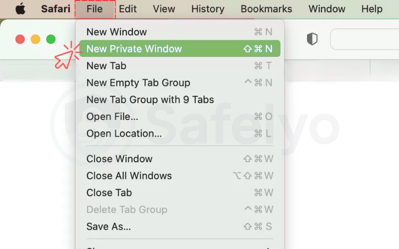 Open the new incognito window on Safari