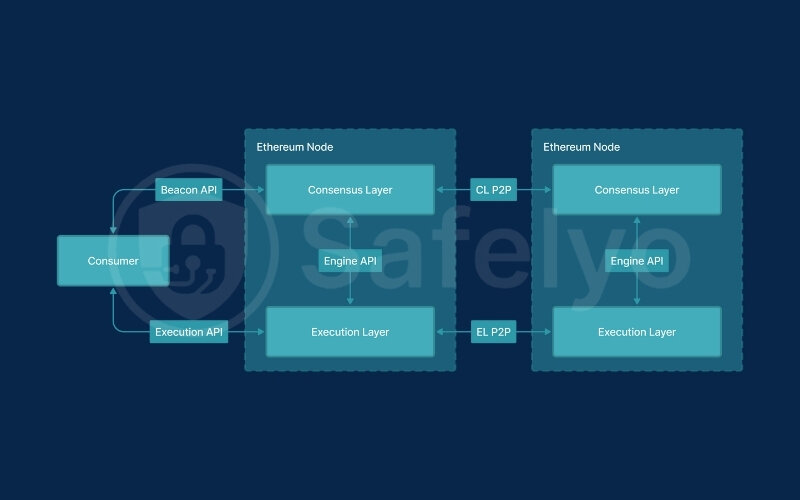 How P2P networks function