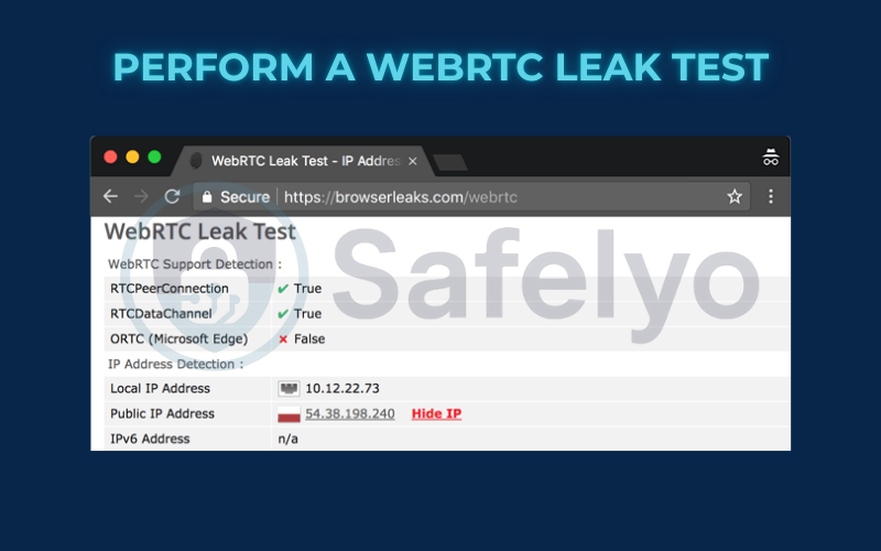 Perform a WebRTC leak test