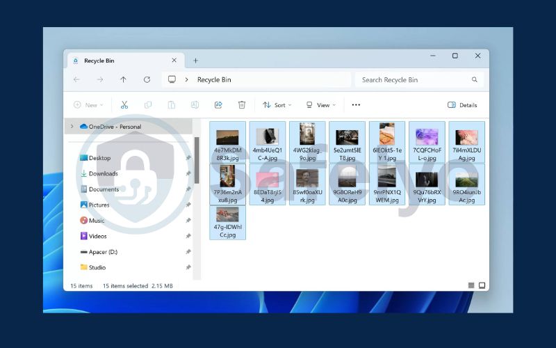Recycle Bin recovery 2
