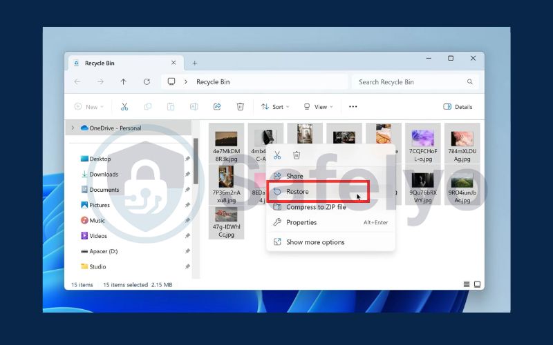 Recycle Bin recovery 3