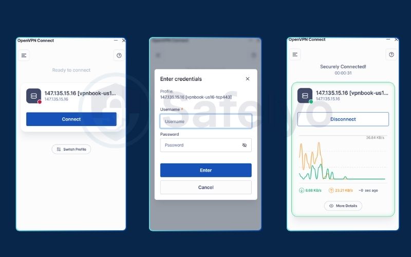 Step 4: Enter Credentials and Connect
