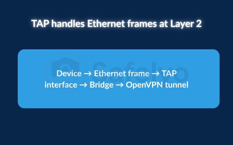 TAP handles Ethernet frames at layer 2