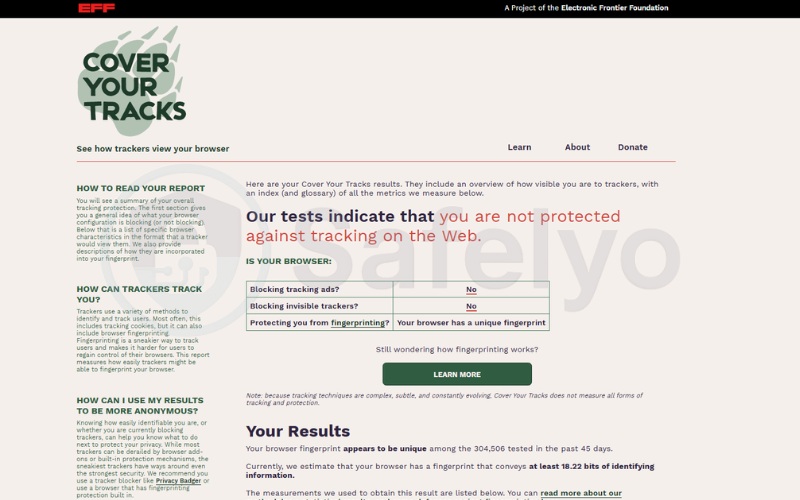 Test your browser fingerprint - Cover Your Tracks