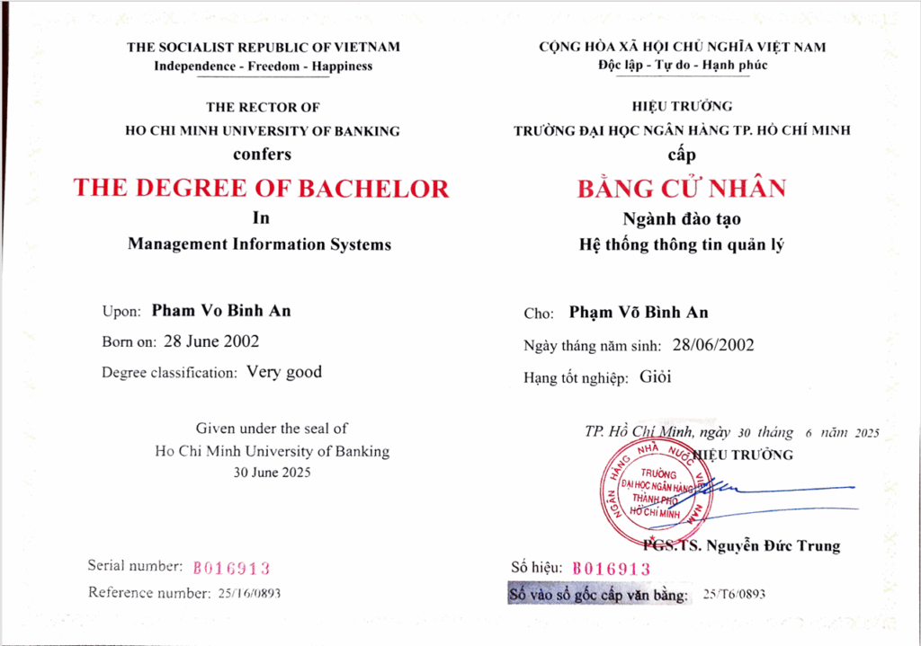 Management Information System - Bachelor's degree