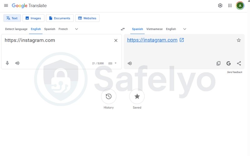 Use Google Translate as a pass-through link