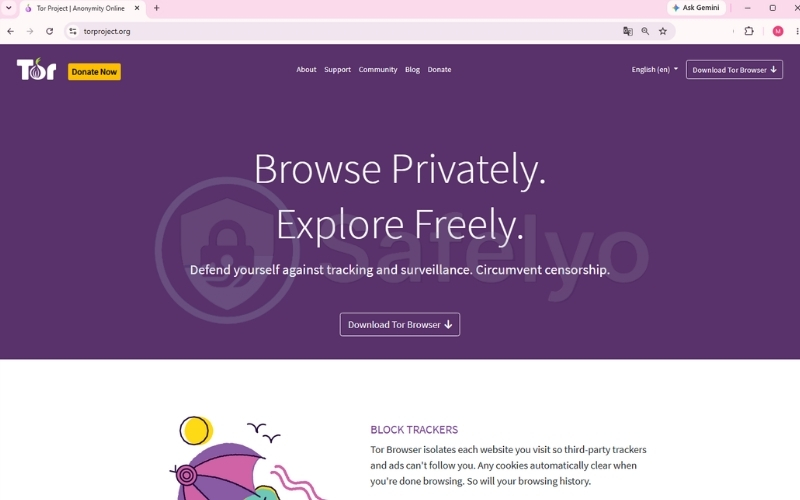 Use the Tor Browser
