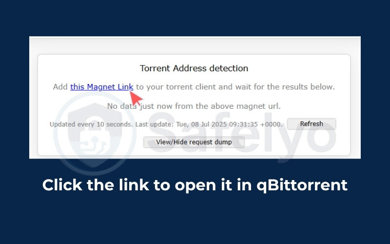 Use torrent IP test magnet links