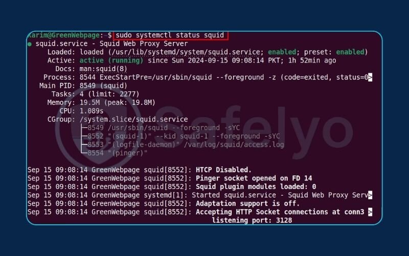 Verify the squid service status