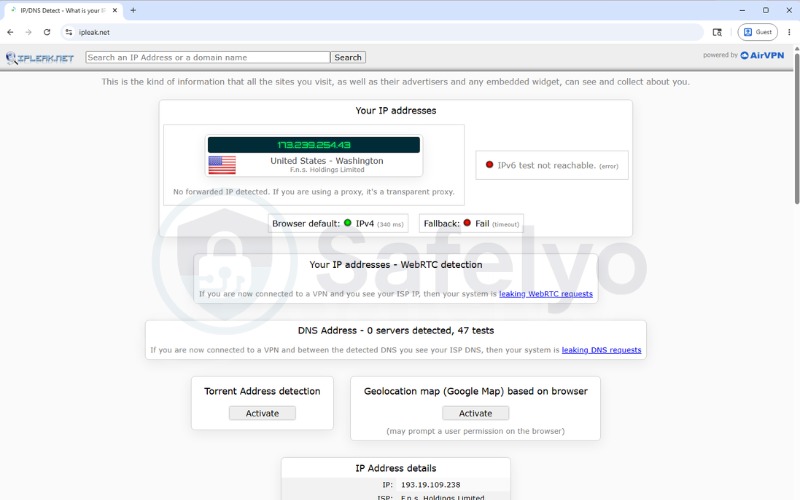 DNS leaks test