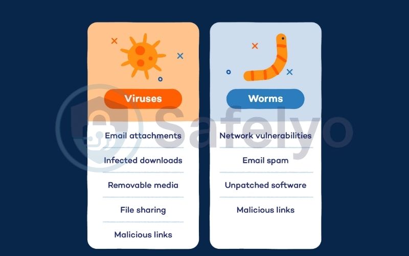 What is a worm virus?