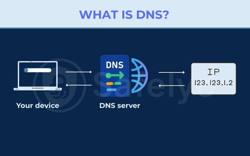 What is DNS
